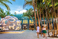 Featured Venue: Palm Court